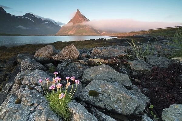 View of the rocky peak of Volanstinden lit by the midnight sun surrounded by sea