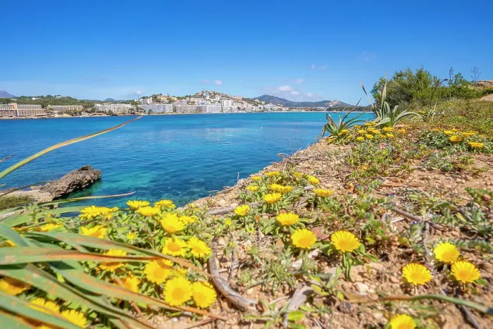 Framed Print : View of rocky shoreline by turquoise sea and Santa Ponsa, Majorca, Balearic Islands, Spain, Mediterranean, Europe Framed Print : View of rocky shoreline by turquoise sea and Santa Ponsa, Majorca, Balearic Islands, Spain, Mediterranean, Europe