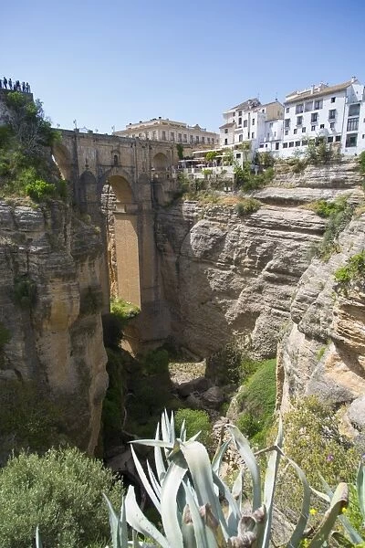 View of Ronda and Puente Nuevo from Jardines De Cuenca, Ronda, Andalusia, Spain, Europe