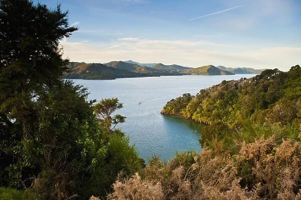 View of a sailing boat in the Queen Charlotte Sound, South Island, New Zealand, Pacific