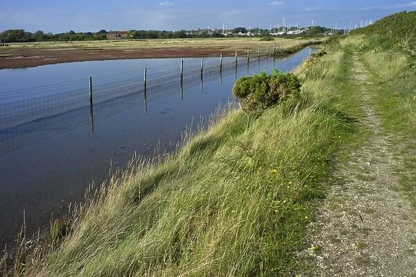 View of salt marshes from the Solent Way footpath, New Forest National Park