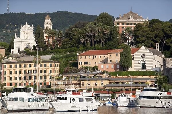View of Santa Margherita port, Liguria, Italy, Mediterranean, Europe