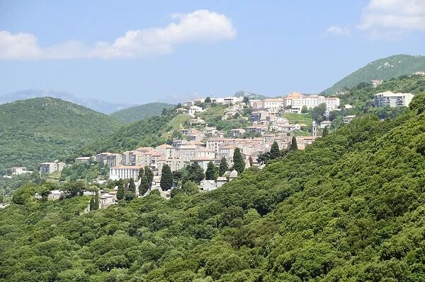 View of Sartene town in wooded mountainous setting, Corsica, France, Europe