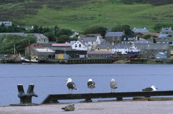 Framed Print : View of Scalloway harbour and Scalloway Framed Print : View of Scalloway harbour and Scalloway