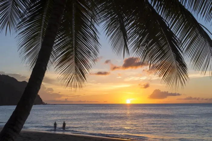 Framed Print : A view out to sea at sunset beneath the palm trees at Castara Bay in Tobago, Trinidad and Tobago Framed Print : A view out to sea at sunset beneath the palm trees at Castara Bay in Tobago, Trinidad and Tobago