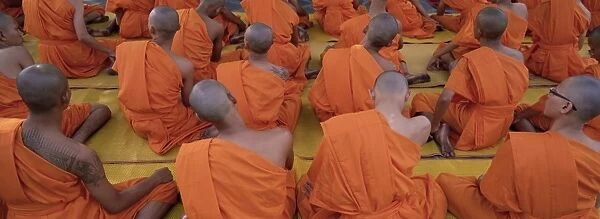Back view of seated Buddhist monks at prayer meeting
