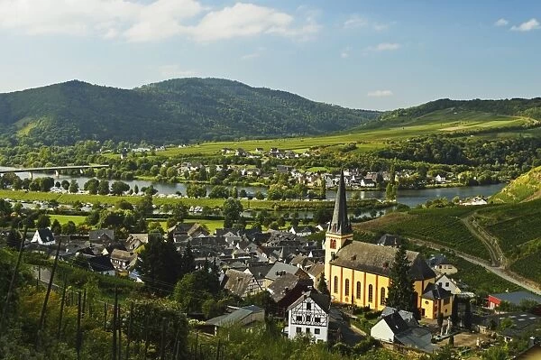 View of Senheim and Moselle River (Mosel), Rhineland-Palatinate, Germany, Europe