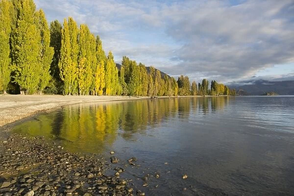 View along the shore of tranquil Lake Wanaka, autumn, Roys Bay, Wanaka, Queenstown-Lakes district