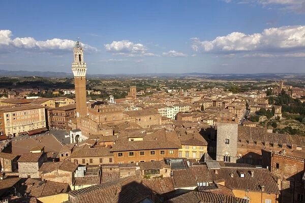 View of Siena Palazzo Publico and Piazza del Campo, UNESCO World Heritage Site, Siena, Tuscany, Italy, Europe