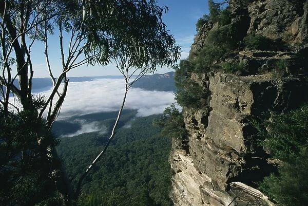 View from the Three Sisters of Jamison valley under fog, Blue Mountains National Park