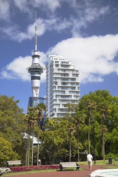 View of Sky Tower from Albert Park, Auckland, North Island, New Zealand, Pacific