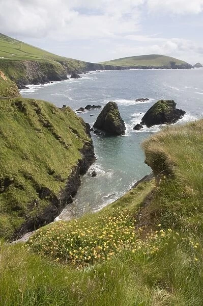 View from Slea Head Drive near Dunquin, Dingle Peninsula, County Kerry