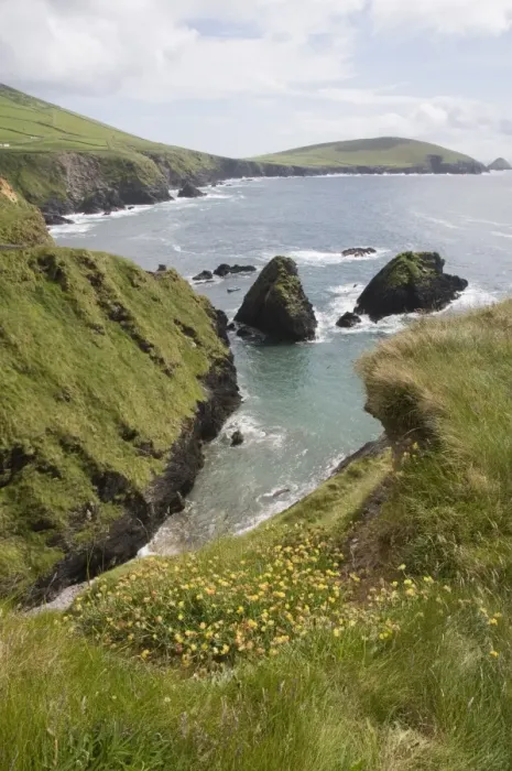 Framed Print : View from Slea Head Drive near Dunquin, Dingle Peninsula, County Kerry Framed Print : View from Slea Head Drive near Dunquin, Dingle Peninsula, County Kerry