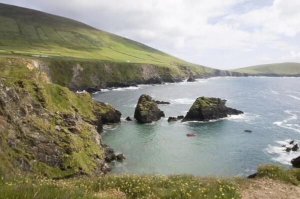View from Slea Head Drive near Dunquin, Dingle Peninsula, County Kerry