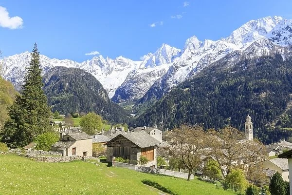View of Soglio between meadows and snowy peaks in spring, Maloja, Bregaglia Valley