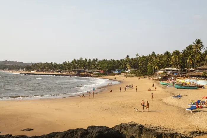 Framed Print : View over South Anjuna Beach, Goa, India, Asia Framed Print : View over South Anjuna Beach, Goa, India, Asia