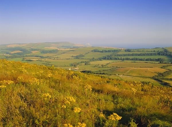View South from Whiteway Hill, Isle of Purbeck, Dorset, England