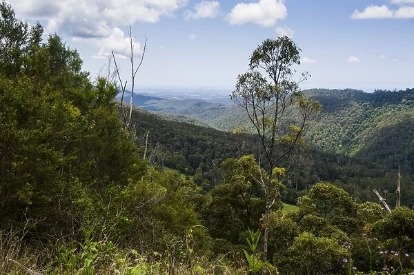 View in the Springbrook National Park, New South Wales, Australia, Pacific