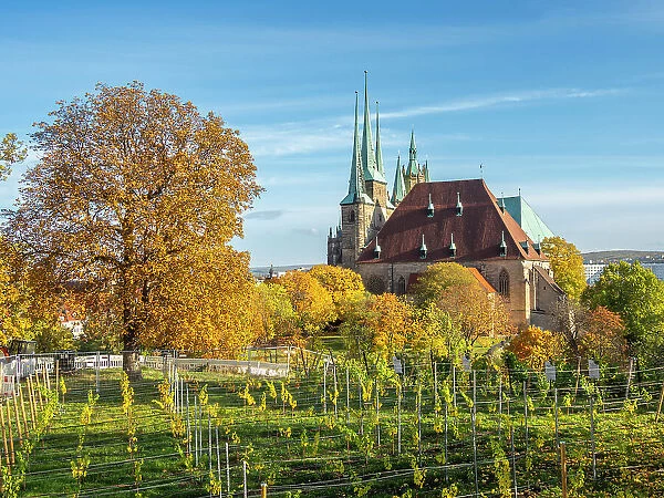 View of St. Severus Church at Erfurt, the capital and largest city of the Central German state of Thuringia, Germany, Europe