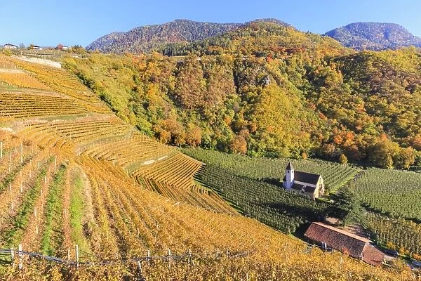 View of St. Valentin church surrounded by autumn colors, Merano, Val Venosta, Alto Adige-Sudtirol