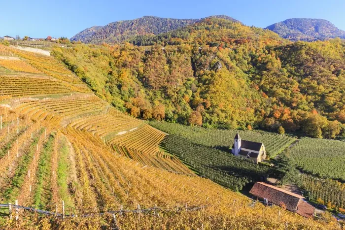 Framed Print : View of St. Valentin church surrounded by autumn colors, Merano, Val Venosta, Alto Adige-Sudtirol Framed Print : View of St. Valentin church surrounded by autumn colors, Merano, Val Venosta, Alto Adige-Sudtirol