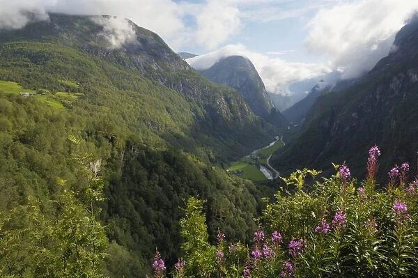 View from Stalheim, Naeroydalen valley, Norway, Scandinavia, Europe