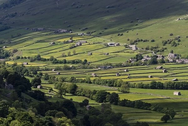 View of stone barns and traditional meadows, Gunnerside, Swaledale, Yorkshire Dales National Park