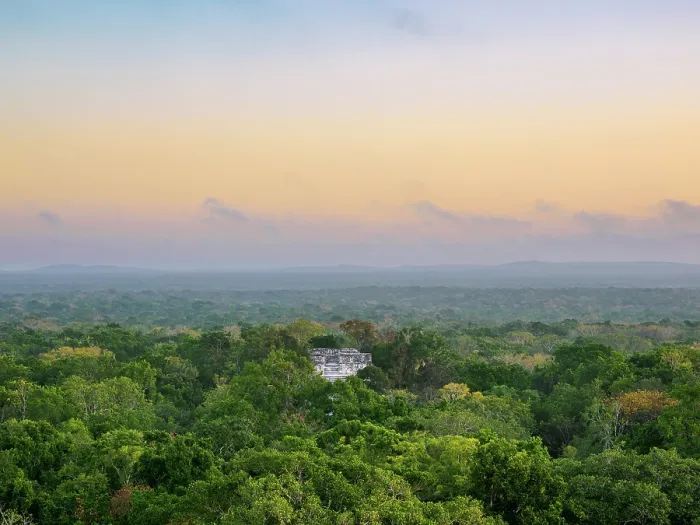 Framed Print : View towards Structure VII at dawn, Calakmul Archaeological Site, Campeche State, Mexico Framed Print : View towards Structure VII at dawn, Calakmul Archaeological Site, Campeche State, Mexico