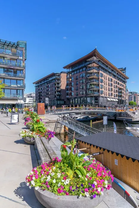 Framed Print : View of summer flowers and waterfront architecture, Aker Brygge, Oslo, Norway, Scandinavia, Europe