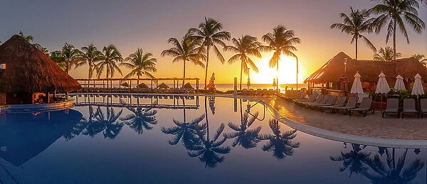 View of sunrise and palm tree reflections in hotel pool near Puerto Morelos, Caribbean Coast, Yucatan Peninsula, Mexico, North America