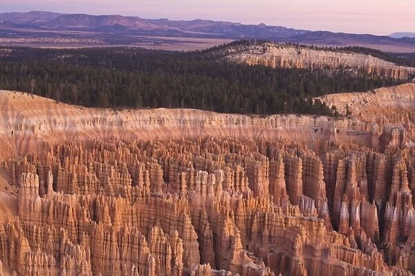 View from Sunrise Point at sunrise, Bryce Canyon National Park, Utah, United States of America