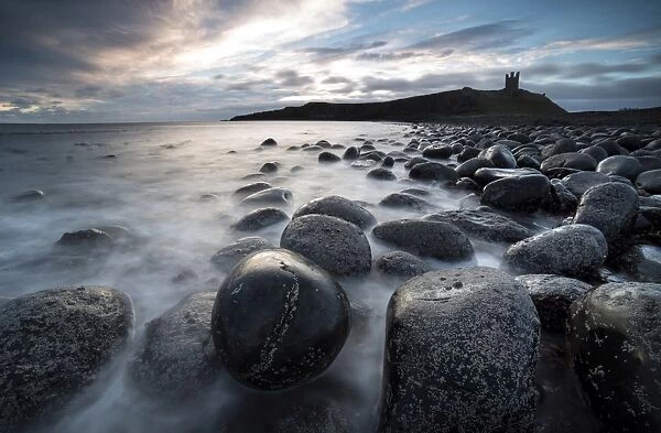 View at sunrise towards the ruin of Dunstanburgh Castle from the beach of basalt boulders known as The Rumble Churn at the southern end of Embleton Bay, Embleton, near Alnwick, Northumberland, England, United Kingdom, Europe