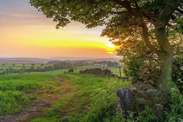View of sunset from Wadshelf in the Peak District National Park, Derbyshire, England, United Kingdom, Europe