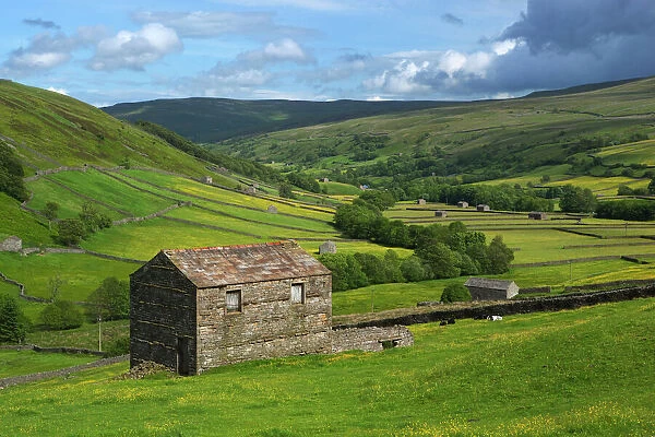 View over the Swaledale valley, near Thwaite, Yorkshire Dales National Park, Yorkshire