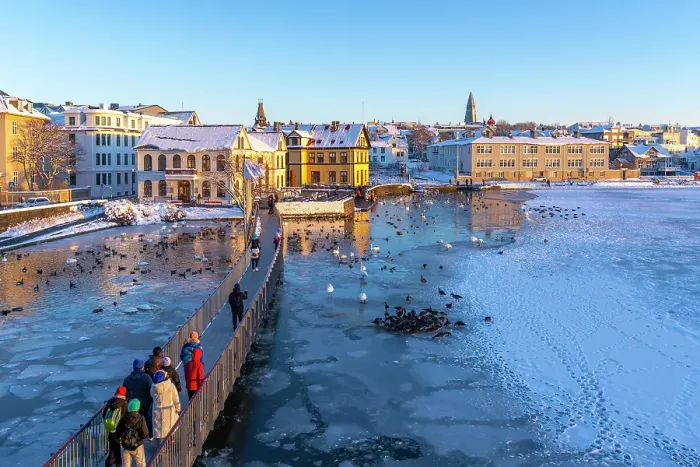 Framed Print : View of swans and ducks with colourful buildings and city skyline in background in the city centre of Reykjavik in winter, Reykjavik, Iceland Framed Print : View of swans and ducks with colourful buildings and city skyline in background in the city centre of Reykjavik in winter, Reykjavik, Iceland
