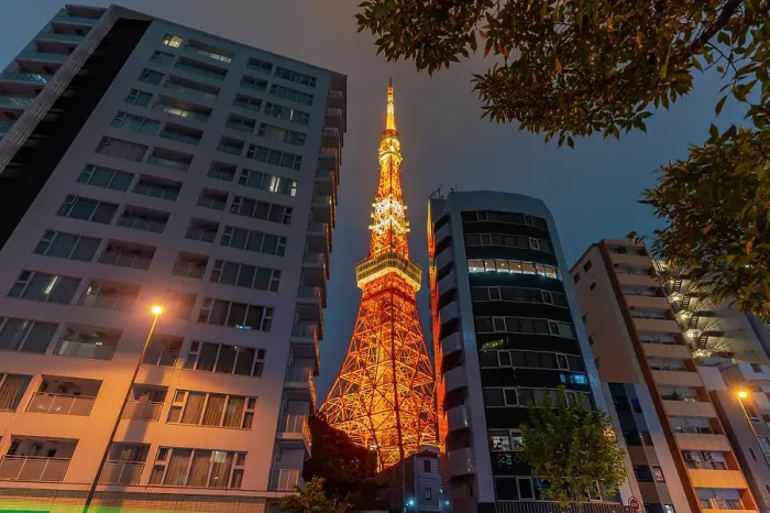 Framed Print : View of Tokyo Tower and city buildings at night, Minato City, Tokyo, Honshu, Japan Framed Print : View of Tokyo Tower and city buildings at night, Minato City, Tokyo, Honshu, Japan