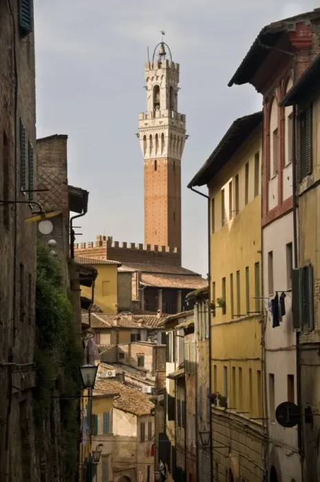 Framed Print : View of the Torre del Mangia and old streets in Siena, Tuscany, Italy, Europe Framed Print : View of the Torre del Mangia and old streets in Siena, Tuscany, Italy, Europe