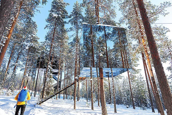 View of a tourist admiring the cube shaped room with mirror wall inside a boreal forest covered with ice and snow, Tree hotel, Harads, Lapland, Sweden, Scandinavia, Europe