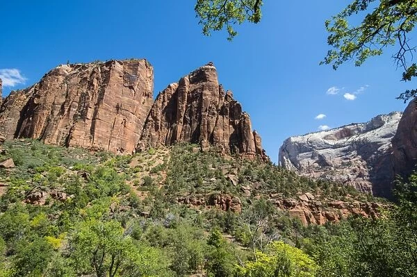 View over the towering cliffs of the Zion National Park, Utah, United States of America, North America