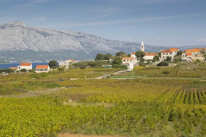 Framed Print : View of town and vineyard, Lumbarda, Korcula, Dubrovnik-Neretva County, Dalmatia Framed Print : View of town and vineyard, Lumbarda, Korcula, Dubrovnik-Neretva County, Dalmatia
