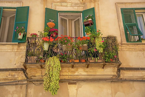 View of traditional balcony with flowers Piazza Duomo in Sassari, Sassari, Sardinia, Italy, Mediterranean, Europe