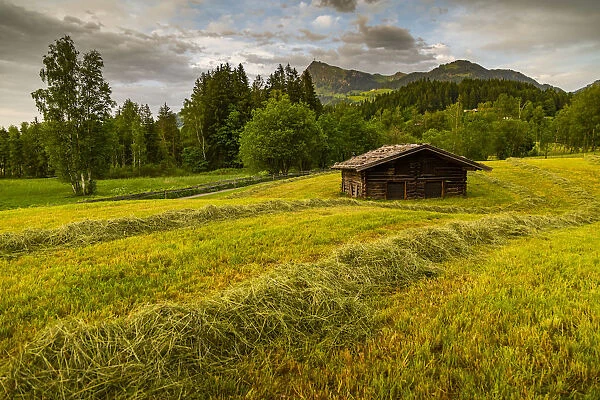 View of traditional log cabin at Schwarzsee near Kitzbuhel, Tyrol, Austria, Europe
