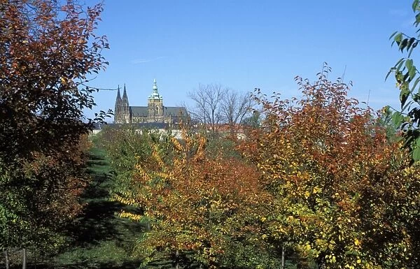 View of trees in autumn colours on Petrin Hill Gardens with Prague Castle in the distance