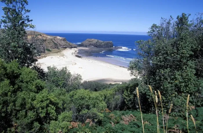 Framed Print : View over trees to trbeach and Bushranger Bay, Mornington Peninsula, Victoria Framed Print : View over trees to trbeach and Bushranger Bay, Mornington Peninsula, Victoria