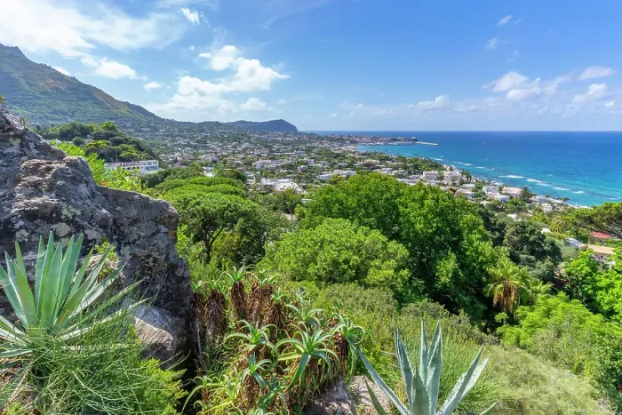 Framed Print : View of tropical flora in Giardini la Mortella Botanical Gardens and Forio in background, Forio, Island of Ischia, Campania, Italy, Europe Framed Print : View of tropical flora in Giardini la Mortella Botanical Gardens and Forio in background, Forio, Island of Ischia, Campania, Italy, Europe