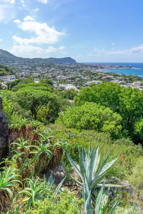 Framed Print : View of tropical flora in Giardini la Mortella Botanical Gardens and Forio in background, Forio, Island of Ischia, Campania, Italy, Europe Framed Print : View of tropical flora in Giardini la Mortella Botanical Gardens and Forio in background, Forio, Island of Ischia, Campania, Italy, Europe