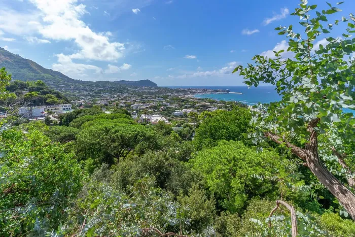 Framed Print : View of tropical flora in Giardini la Mortella Botanical Gardens and Forio in background, Forio, Island of Ischia, Campania, Italy, Europe Framed Print : View of tropical flora in Giardini la Mortella Botanical Gardens and Forio in background, Forio, Island of Ischia, Campania, Italy, Europe