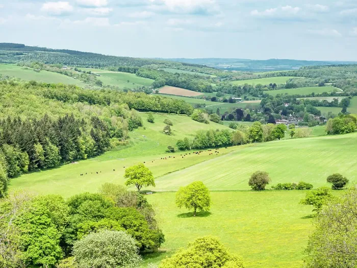 Framed Print : View from The Trundle, Goodwood, South Downs National Park, West Sussex, England, United Kingdom, Europe Framed Print : View from The Trundle, Goodwood, South Downs National Park, West Sussex, England, United Kingdom, Europe