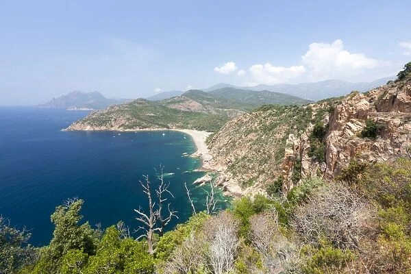 Top view of turquoise sea and sandy beach framed by green vegetation on the promontory