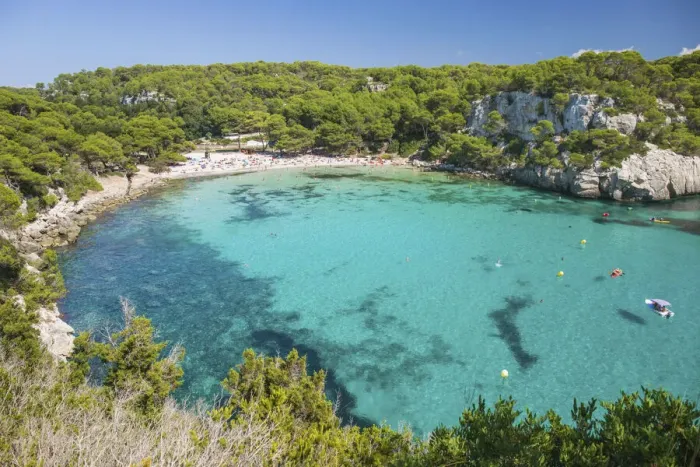 Framed Print : View over the turquoise waters of Cala Macarella to pine-fringed sandy beach Framed Print : View over the turquoise waters of Cala Macarella to pine-fringed sandy beach
